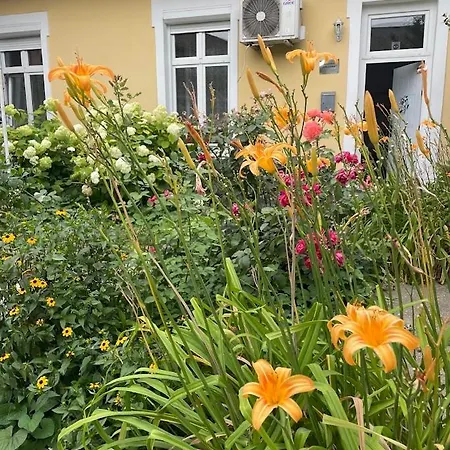 Milijana Apartment *