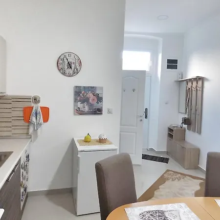 Milijana סובוטיקה