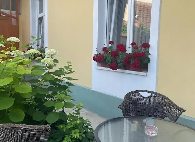 Milijana Daire Subotica